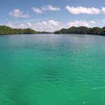 jellyfishlake-6