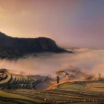 landscapeasia2