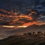 landscapeasia6