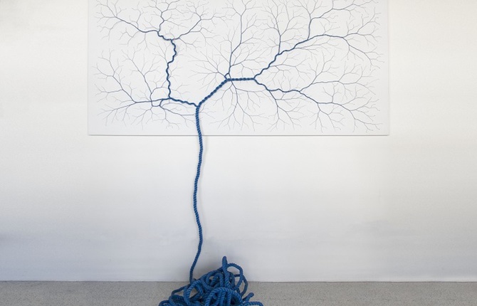 Ropes Turning into Trees Installations