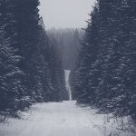 paintinglandscapes10