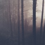 paintinglandscapes7