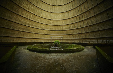 A Suspended Bonsai Inside an Abandoned Power Plant