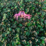 pruestent-2
