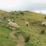 scottishhighlands3