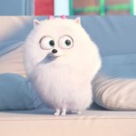 secretlifepets1