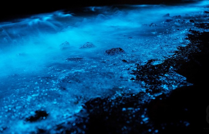 Blue Sparkles Sea
