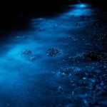 sparkle-11