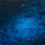sparkle-12