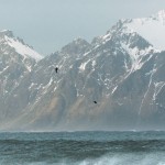 surfnorway10