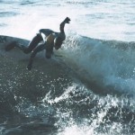 surfnorway8