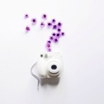 thislittlelion-1