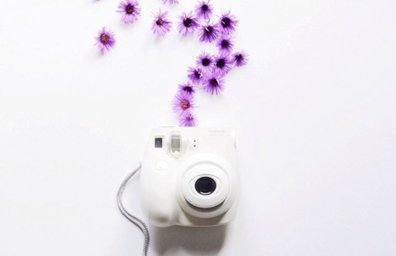 Beautiful and Delicate Photography by This Little Lion