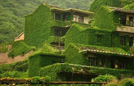 Abandoned Green Village in China