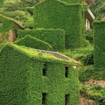 village-6