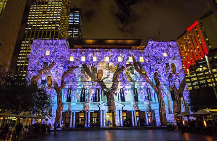 Flowers and Trees Light Projection in Sydney