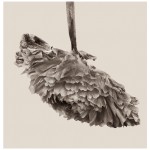 wrinkles-6