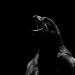zooportraits5