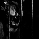 zooportraits7