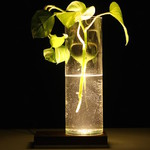 Baselamp4