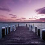 GiovanniCioliPhotography4