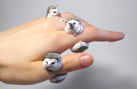 Handmade Rings with Animals Around Your Fingers
