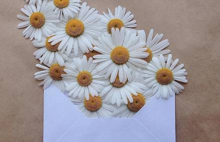 Flowers Bouquets in Vintage Envelopes