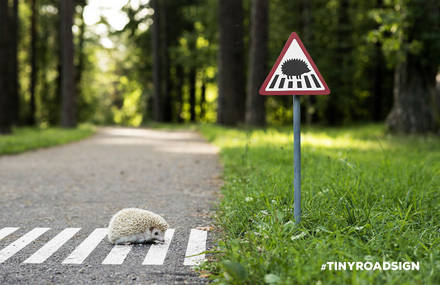 Miniature Road Signalling for Animals