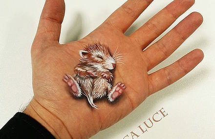 Brilliant Optical Illusions Painted on Palm