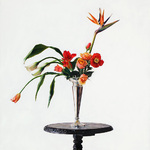 photographypainting5
