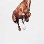 photographypainting6