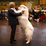 reuterspic-15