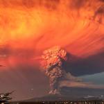reuterspic-20