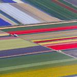 reuterspic-3