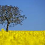 reuterspic-4