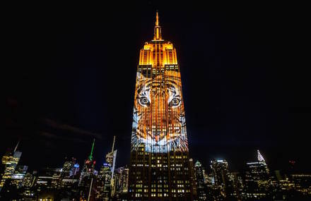 Projecting Change at the Empire State Building