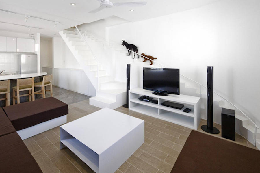 Staircase Designed for Small Pets1