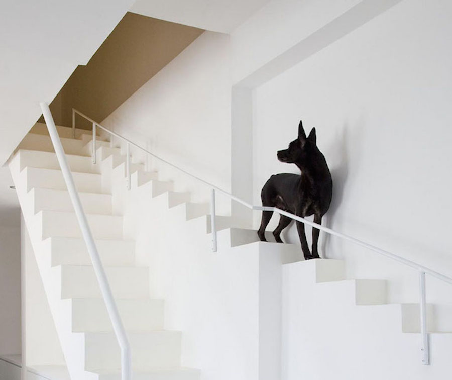 Staircase Designed for Small Pets2