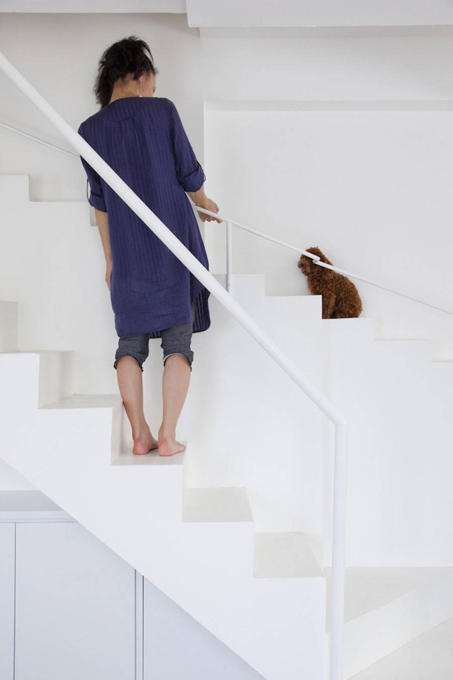 Staircase Designed for Small Pets3