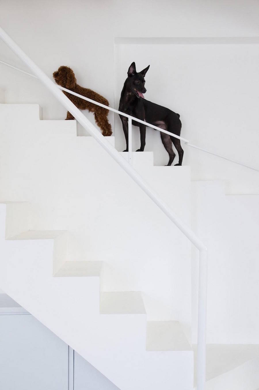 Staircase Designed for Small Pets4