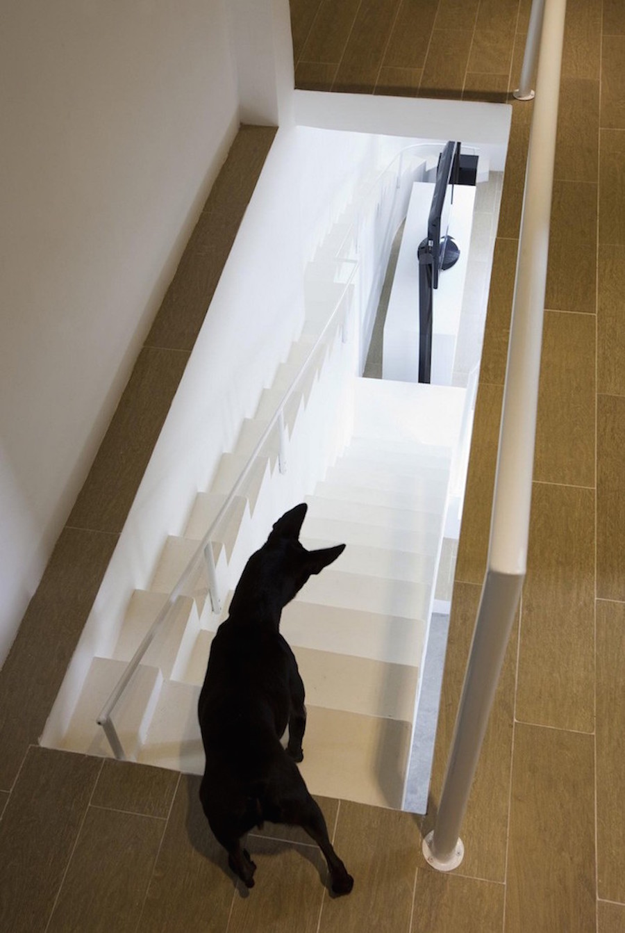 Staircase Designed for Small Pets5