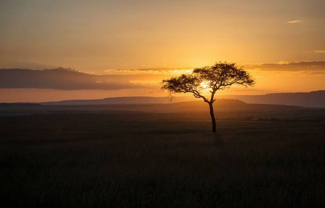 Kenyan Nature Reserve Photography