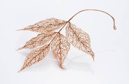 Leaf Sculptures with Human Hair