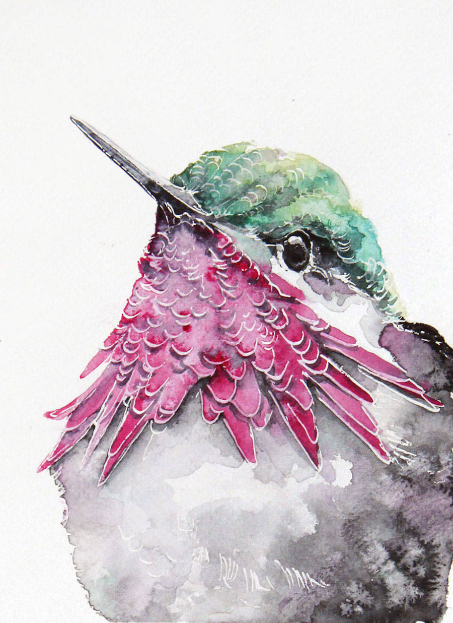 watercolor birds portraits fubiz