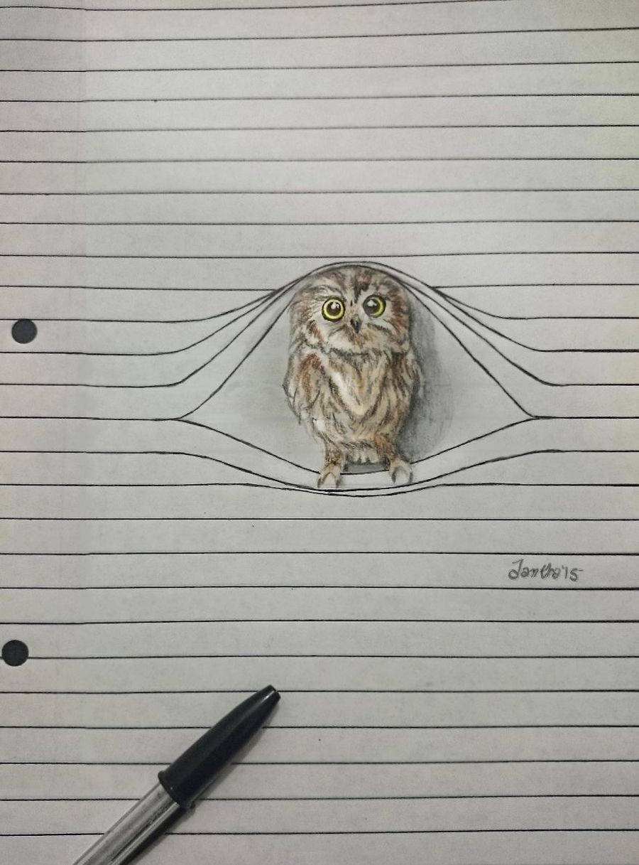 Cute Animal Pencil Drawings Fubiz Media Cute Animal Pencil Drawings Fubiz Media