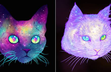 Galactic Cats Series
