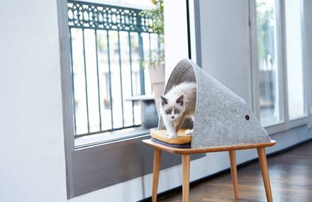 Cat Cocoons for Contemporary Interior