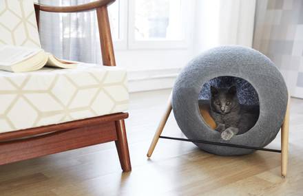 Cat Cocoons for Contemporary Interior
