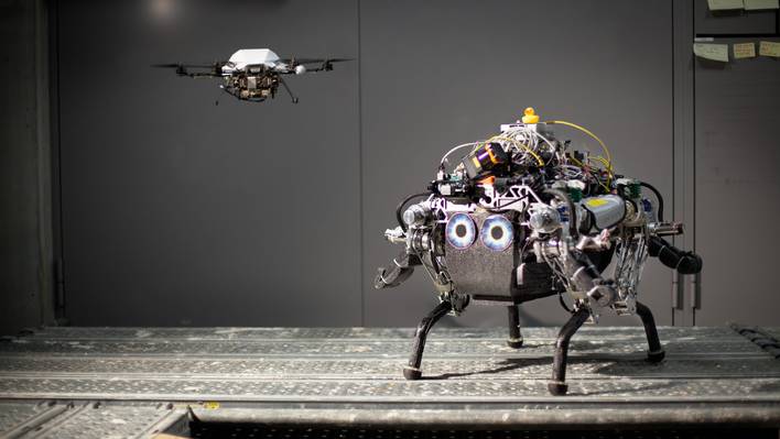 Collaborative Navigation for Flying and Walking Robots
