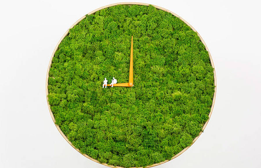 The Moss Clock